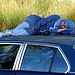  Blue Rest of a Blue Photographer on a Blue Pillow All on a Blue Skylark