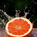  Grapefruit Splash